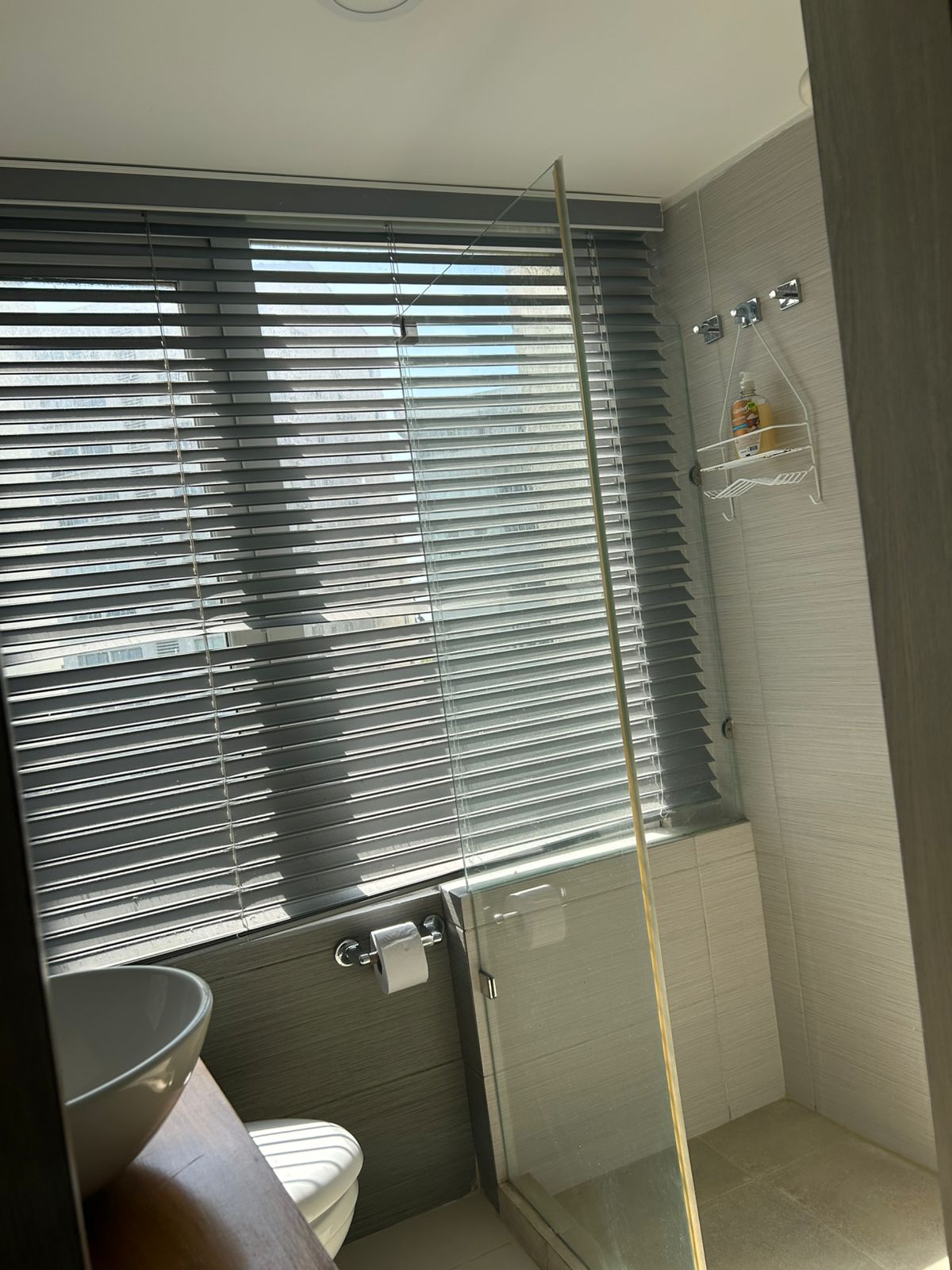 Apartamento 5-1A baño 4